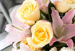 Blush Rush