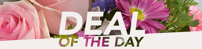 DEAL OF THE DAY
