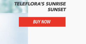 Teleflora's Sunrise Sunset