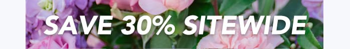 Use code <b>KLARNA30MDAY</b> at checkout