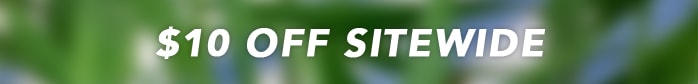 PLANT YOURSELF AT WORK