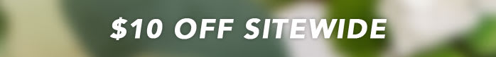 DELIGHT ANY EVENT WITH $10