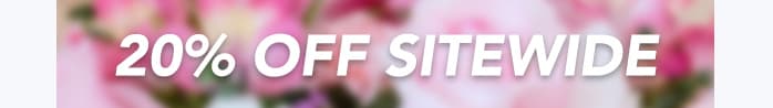 — 20% OFF SITEWIDE —
