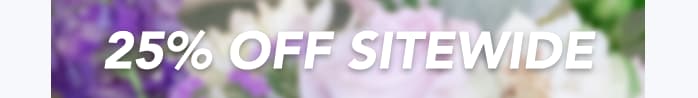 — 25% OFF SITEWIDE —