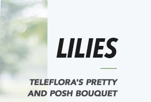 LILIES
