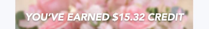 — 25% OFF SITEWIDE —