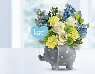 Teleflora's Hello Sweet Baby - Blue