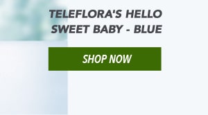 Teleflora's Hello Sweet Baby - Blue