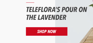 Teleflora's Pour On The Lavender