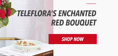 Teleflora's Enchanted Red Bouquet