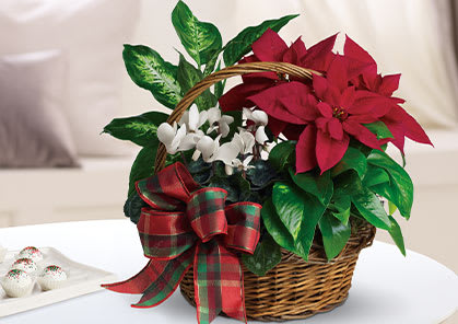 Holiday Homecoming Basket