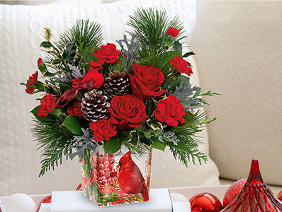 Teleflora's Cardinal Cheer Bouquet