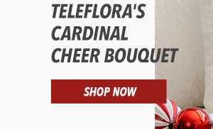 Teleflora's Cardinal Cheer Bouquet