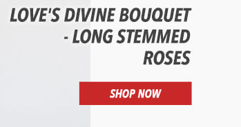 Love's Divine Bouquet - Long Stemmed Roses