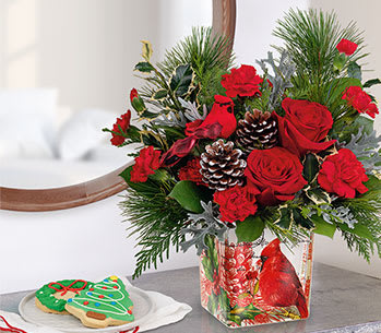 Teleflora's Cardinal Cheer Bouquet