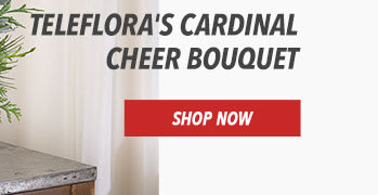 Teleflora's Cardinal Cheer Bouquet