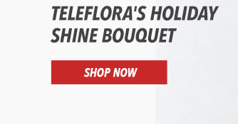 Teleflora's Holiday Shine Bouquet