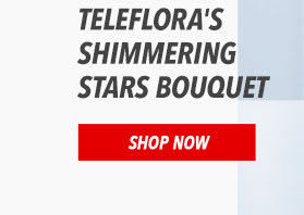 Teleflora's Shimmering Stars Bouquet