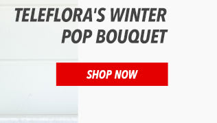 Teleflora's Winter Pop Bouquet