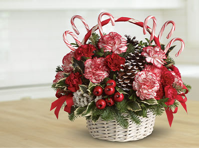 Candy Cane Christmas