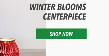 Winter Blooms Centerpiece