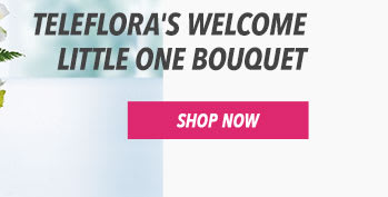 Teleflora's Welcome Little One Bouquet