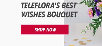 Teleflora's Best Wishes Bouquet