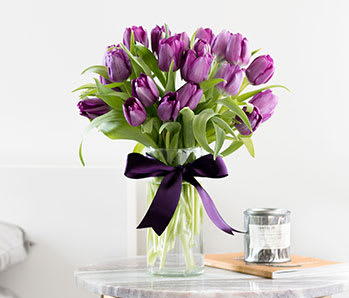 Passionate Purple Tulips