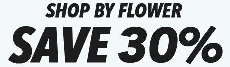 SAVE 30%
