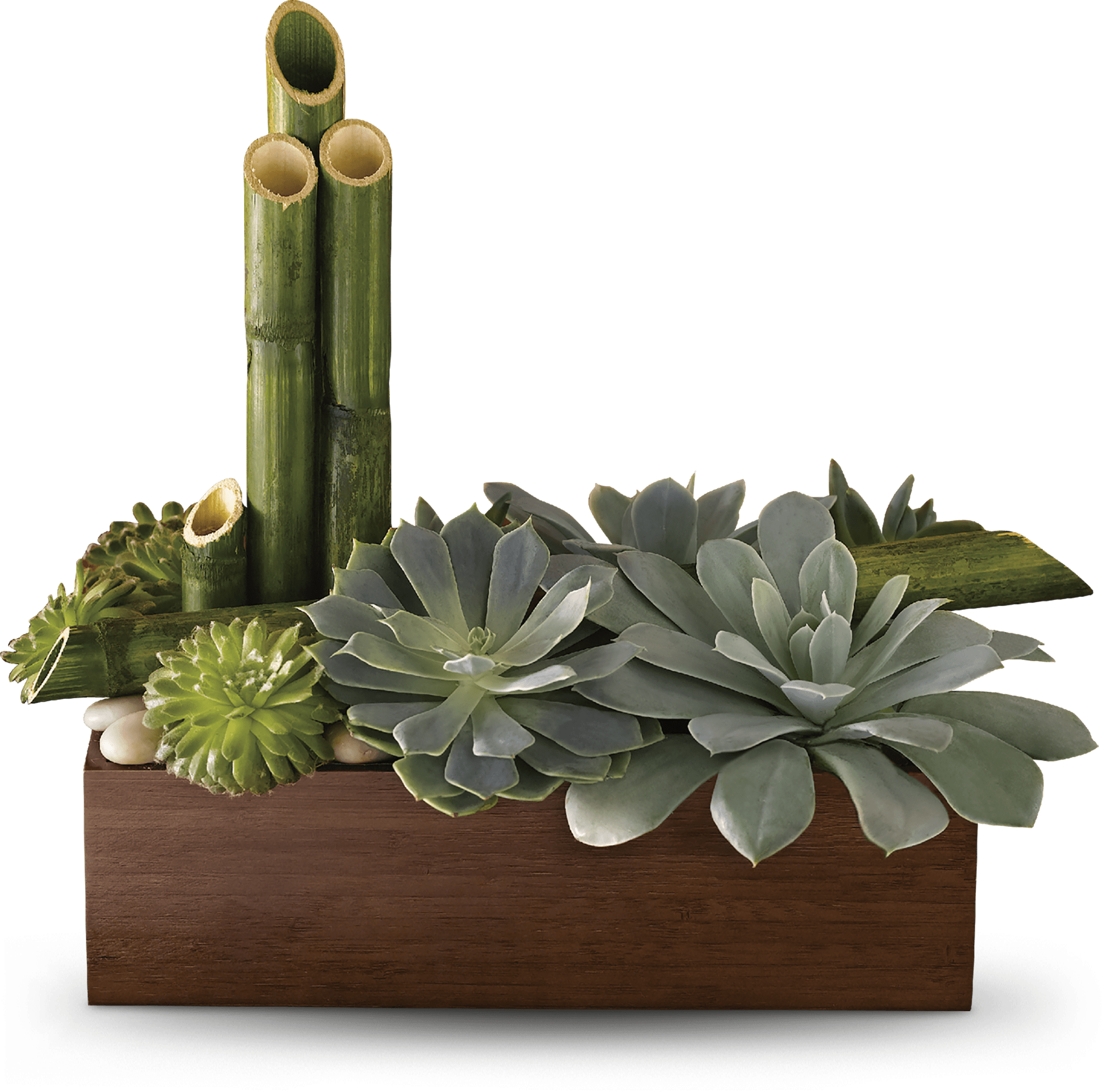 Teleflora's Peaceful Zen Garden