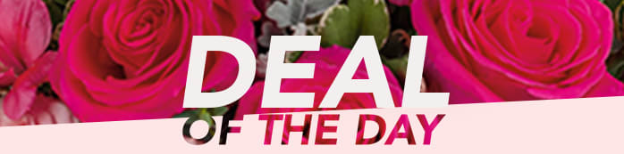 Deal of the Day