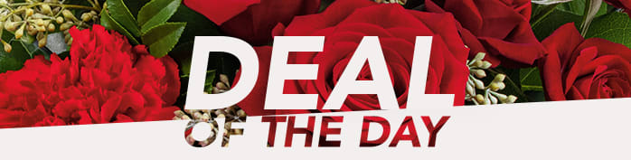 Deal of the Day