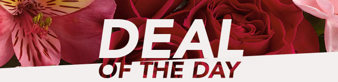 Steal This Deal