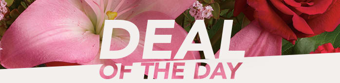 Valentine’s Deal of the Day