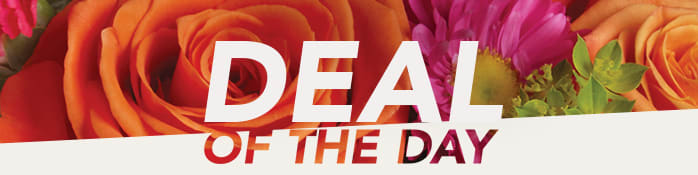 Deal of the Day