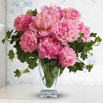 PEONY SEASON IS HERE!