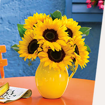 HERE COME<br>THE SUNFLOWERS