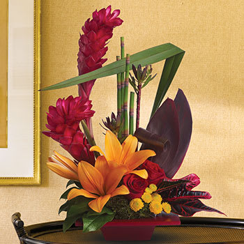 Teleflora's Tropical Bliss