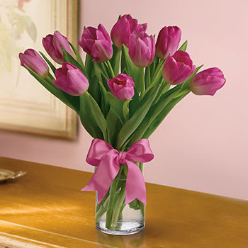 Precious Pink Tulips