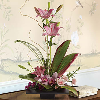 Imagination Blooms with Cymbidium Orchids