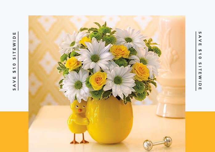 My Little Chickadee by Teleflora