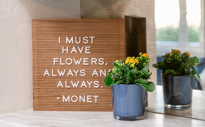 Teleflora's Golden Morning Plant