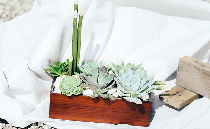 Teleflora's Peaceful Zen Garden