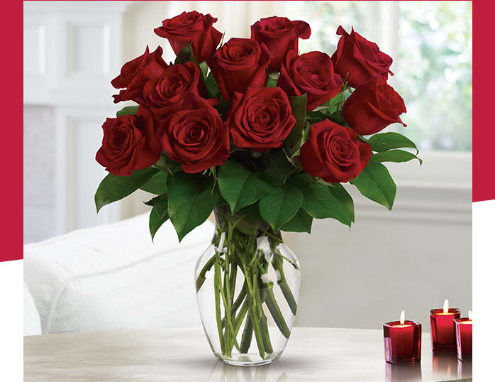 Enduring Passion - 12 Red Roses