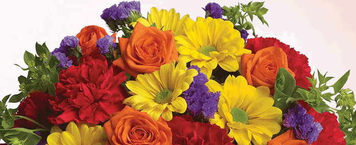 Teleflora's Brilliant Birthday Blooms