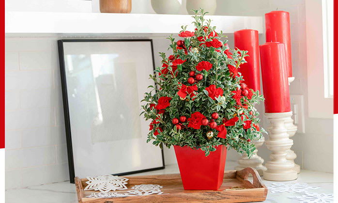 Deck The Halls Tree