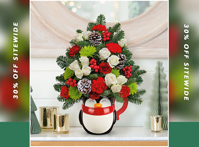 Teleflora's Send a Hug Warm Wisher Tree