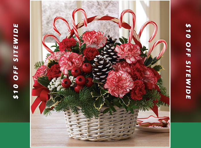 Candy Cane Christmas