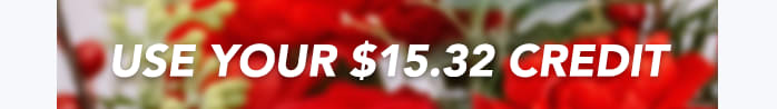 - USE YOUR $15.32 CREDIT -