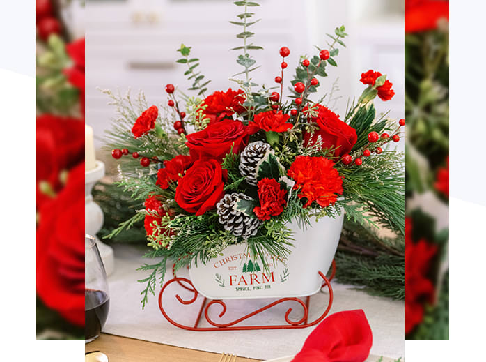 Teleflora's Snow What Fun Bouquet